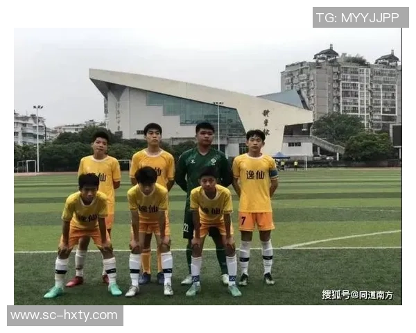青春岁月里的足球传奇与梦想追逐的回忆